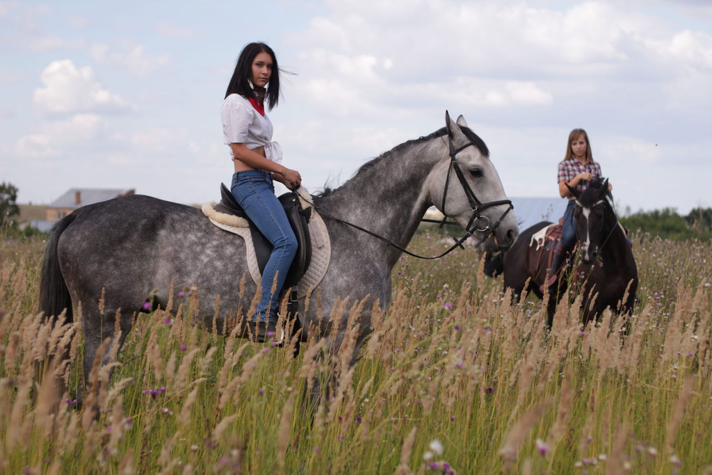 Девушки катаются на лошадях. Девушка верхом на лошади. Верхом в поле. Девушка катается на лошади.